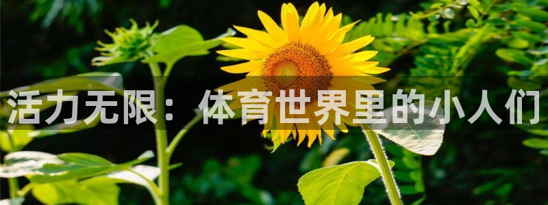 oety欧亿