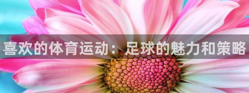 oety欧亿
