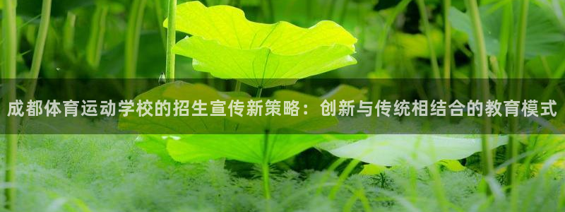 oety欧亿