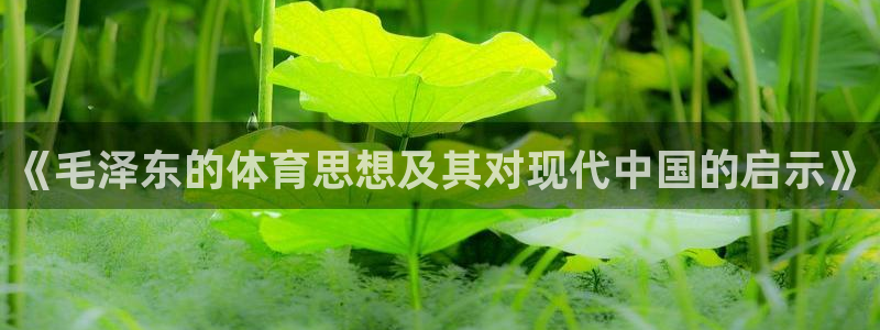 oety欧亿