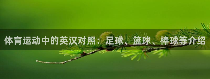 oety欧亿