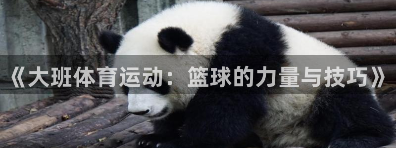 oety欧亿