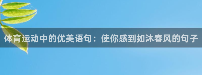 oety欧亿