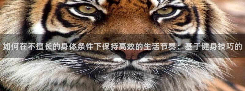 oety欧亿