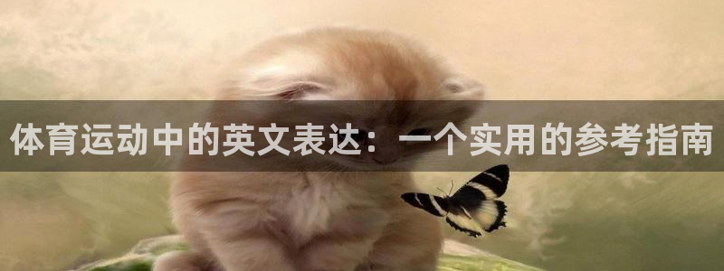 oety欧亿
